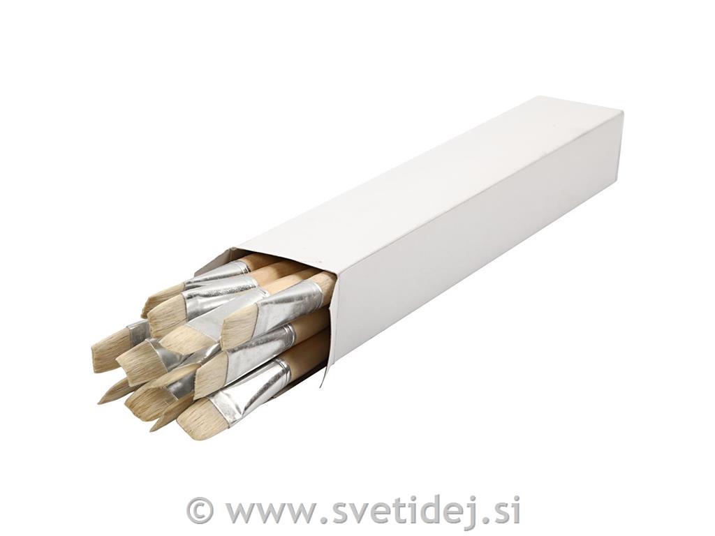 Čopiči ščetinasti št. 20, set 12