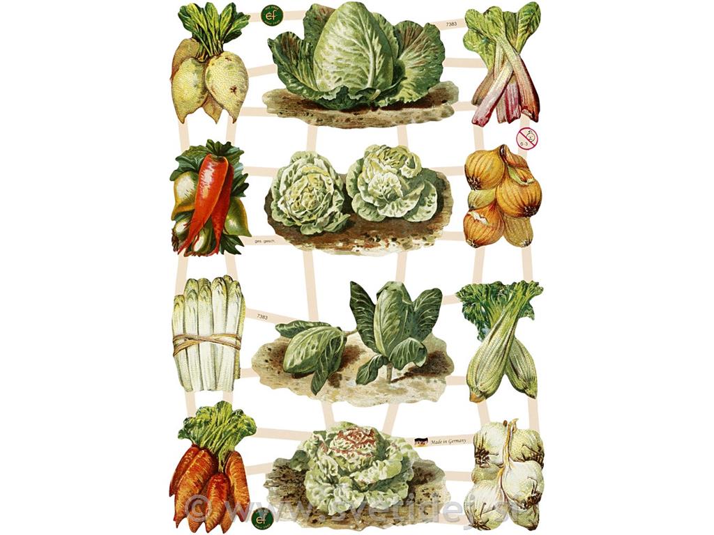 Nalepke zelenjava 16,5x23,5 cm, set 3