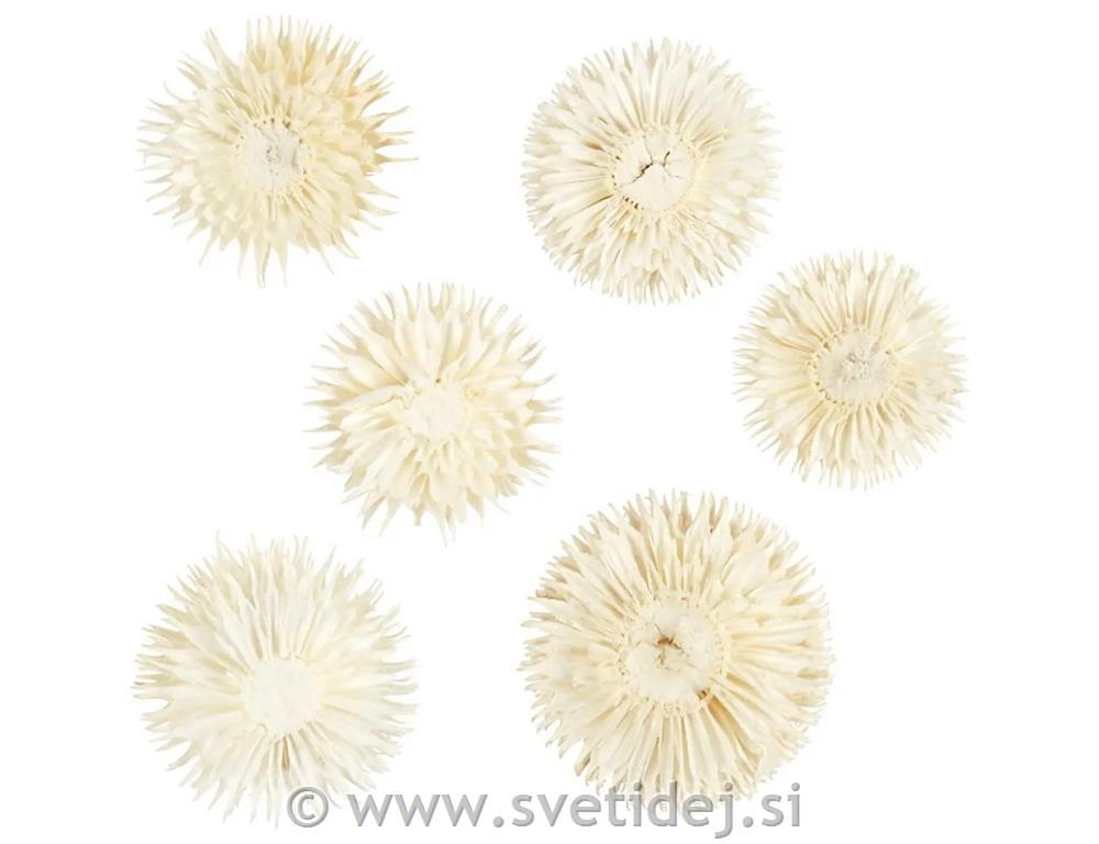 Suho cvetje bele set 5
