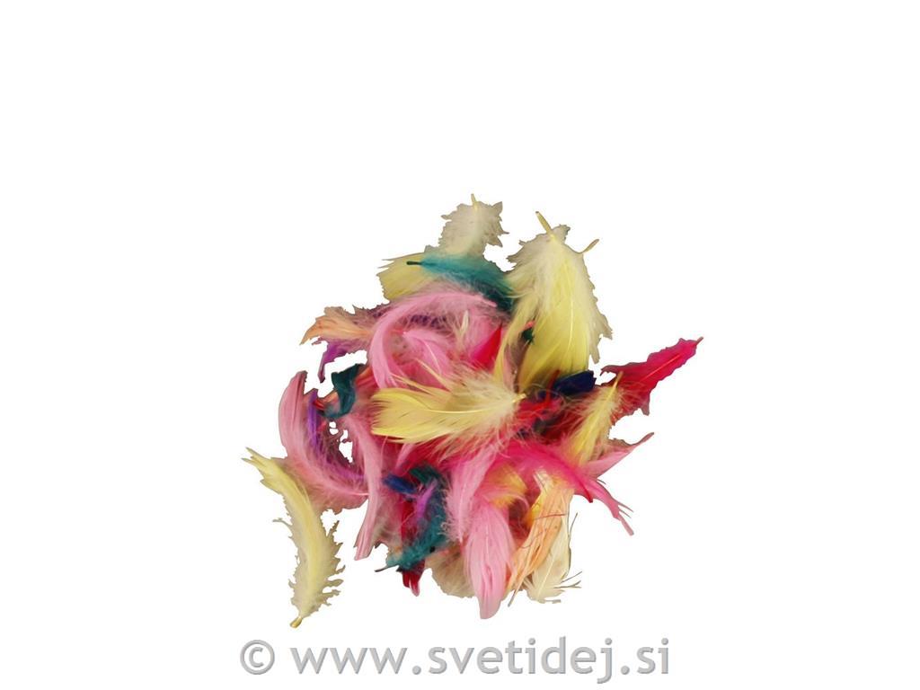 Okrasna peresa, 7-8 cm, set 500 g