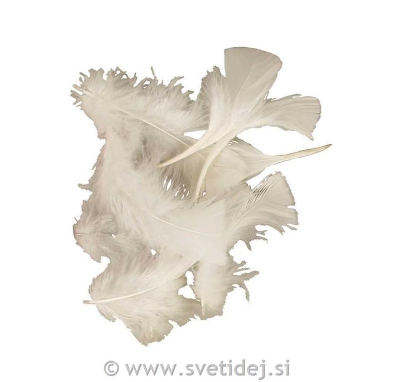 Okrasna peresa, 7-8 cm, set 50 g
