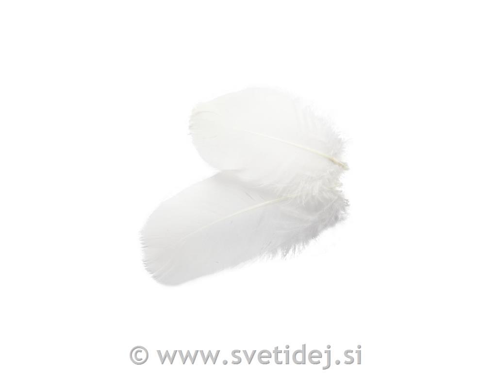 Gosje perje belo 8 cm, bela, set 3 g