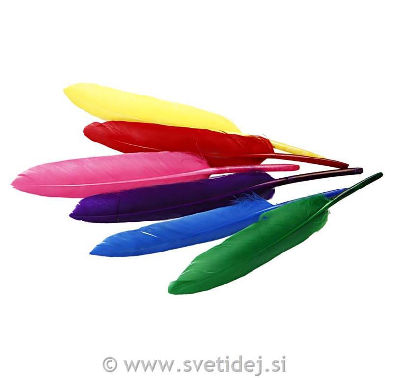Okrasna kurja peresa 13 cm, set 48,mix