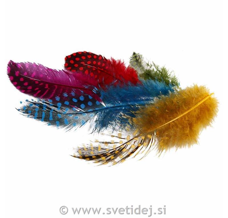 Perje pikčaste kokoši, pisano, 50 g