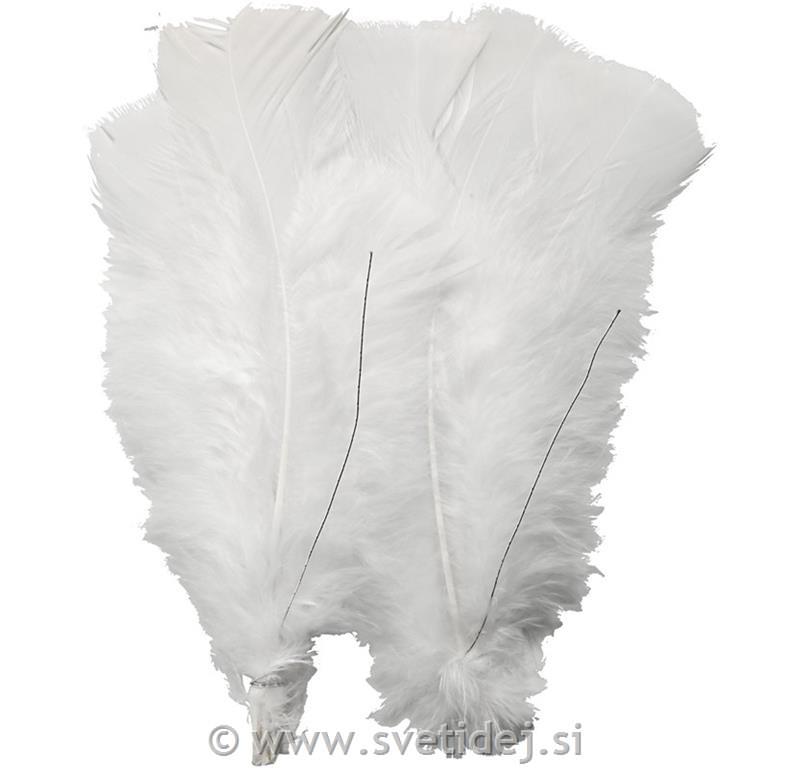 Perje puranovo, belo, 11-17 cm, set 18