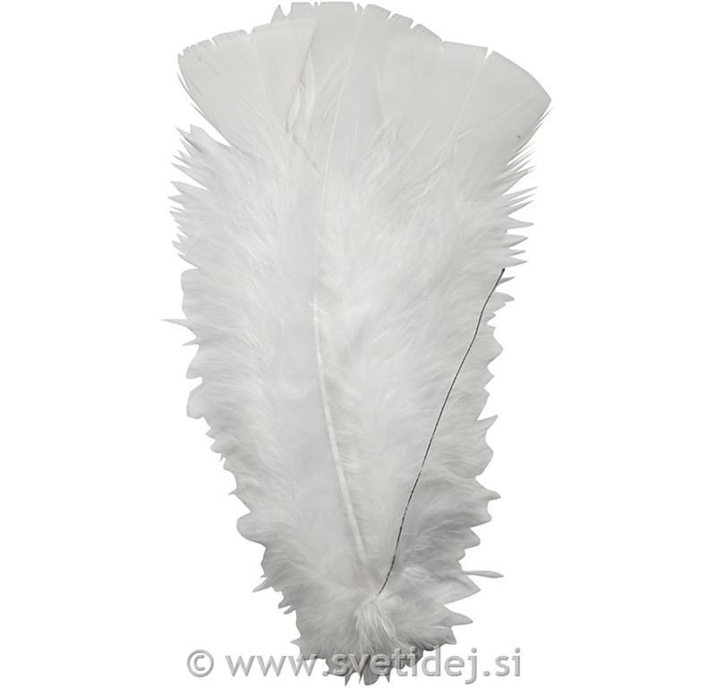 Perje puranovo, belo, 11-17 cm, set 18