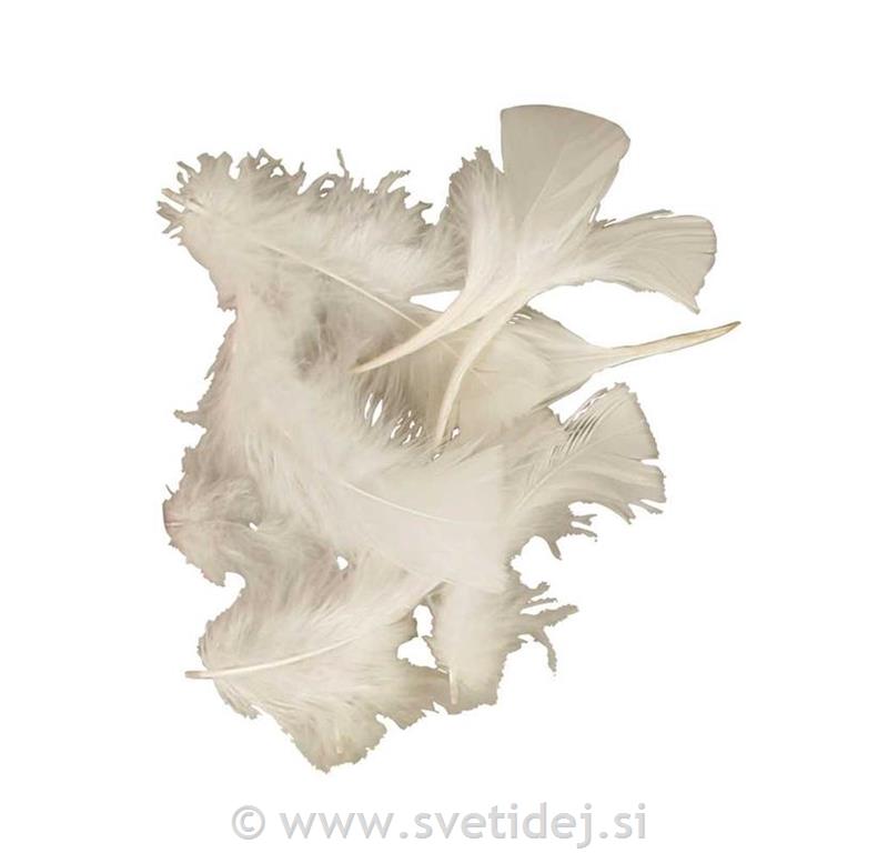 Okrasna peresa, 7-8 cm, set 50 g