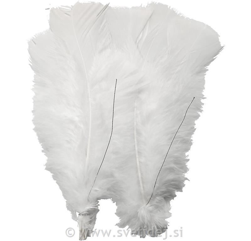 Perje puranovo, belo, 11-17 cm, set 18