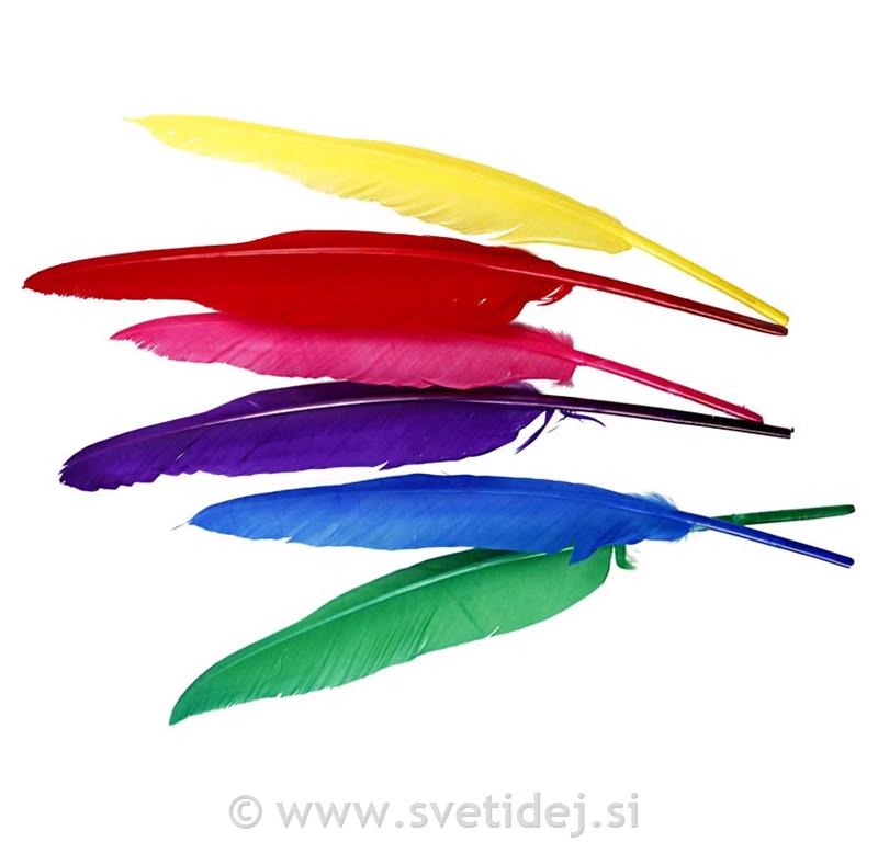 Okrasna kurja peresa, 27 cm, set 12 mix