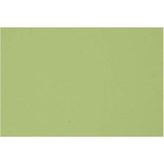 Barvni karton nežno zelen,A2,180g,10 pol